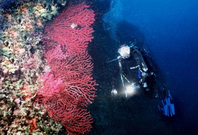  Buceando en San Vito lo Capo 